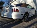 1996 Ford Mustang GT - Drew VanBritson's 1996 Ford Mustang GT